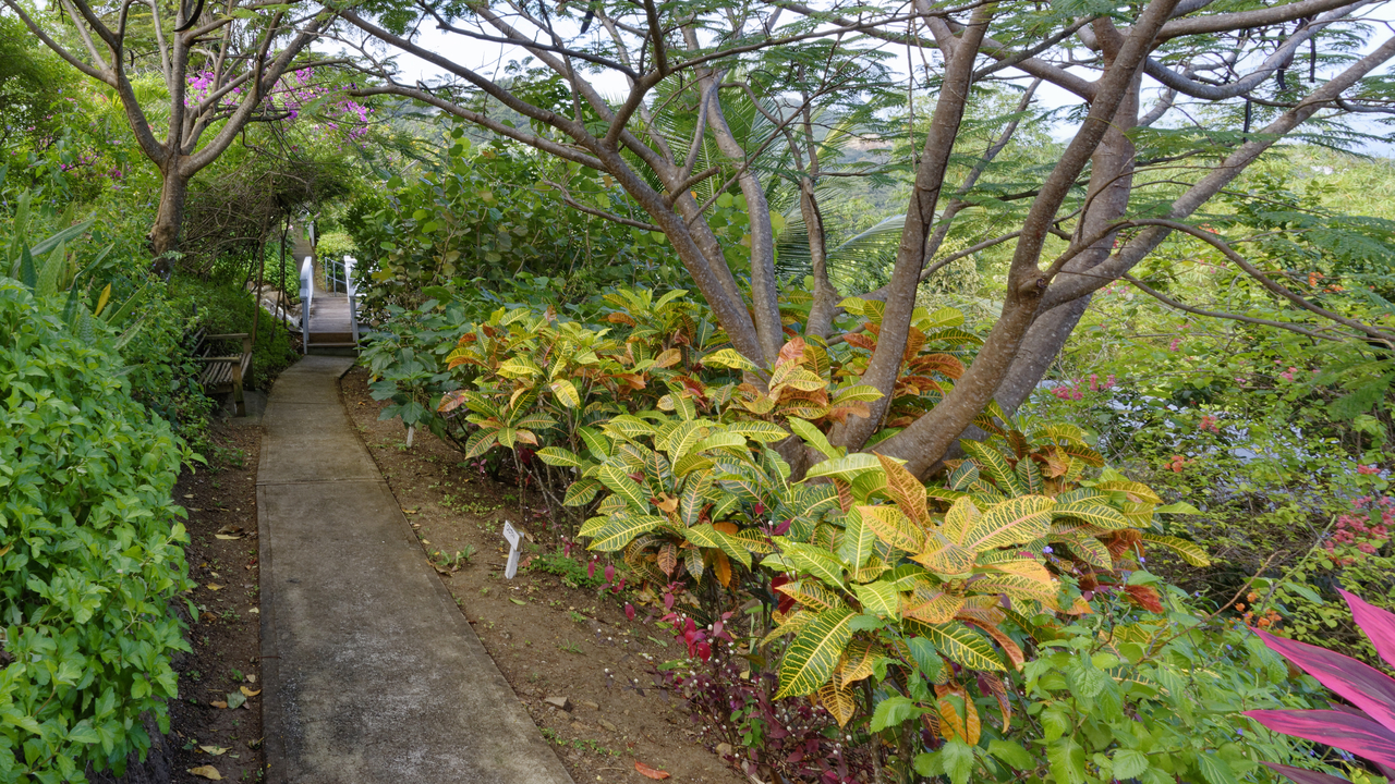 20170209 093615•Stony Hill•GrosIslet•Saint Lucia